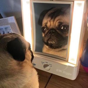 Meet your Posher, Fernanda